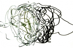 wire drawing iv - rough and tumble © p ward 2010
