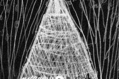 willow xmas (digital image from pencil drawing; 2003)