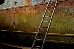 an-offer-of-hope-digital-photo-2009