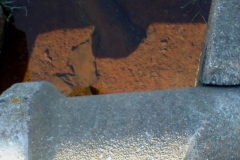 dsc00018