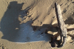 dsc00055-crop