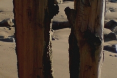 dsc00067-crop
