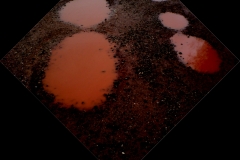 dsc00075-sq-45crop