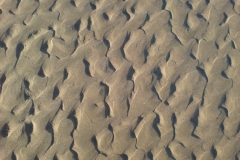 dsc00078
