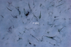 fire-digital-photo2009