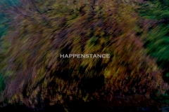 happenstance-digital-photo2009