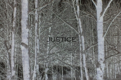 justice-digital-photo2009