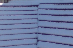 snow-roofs-2digital-photo2009