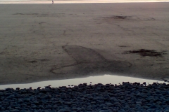 this-most-public-digital-photo-2009