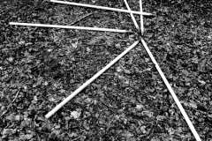 dropped poles 2, birdhill, west somerset  (digital photo) © p ward 2010