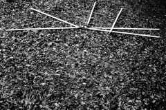 dropped poles 3, birdhill, west somerset  (digital photo) © p ward 2010