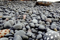 painted beach, westward ho! 1 (earth pigments, driftwood, pebbles; digital photo) © p ward 2010