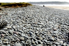 painted beach, westward ho! 2 (earth pigments, driftwood, pebbles; digital photo) © p ward 2010