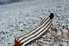 painted log, westward ho! 3 (earth pigments on driftwood; digital photo) © p ward 2010