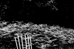 pole-chair, birdhill, west somerset  (digital photo) © p ward 2010