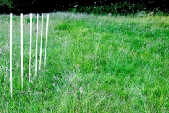 row of poles, woodford, west somerset (digital photo) © p ward 2010