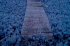 causeway, westward ho! (digital photo) 2009