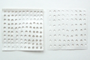 beside the seaside, north devon 2010