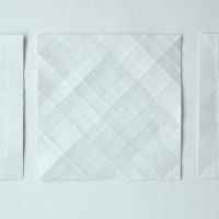 folds (paper; 35x11cm) © p ward 2010