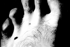 hands-feet-face iii (digital-photo) © p ward 2010