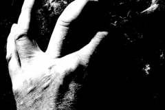 hands-feet-face vii (digital-photo) © p ward 2010