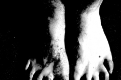 hands-feet-face viii (digital-photo) © p ward 2010