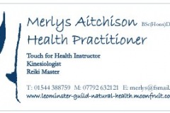 merlys-business-card-6final