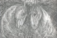 ponies (pencil on paper; 20x29cm; 2000)