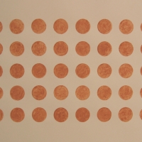 40 dots, Brendon Common (earth pigment; 76x56cm) 2008