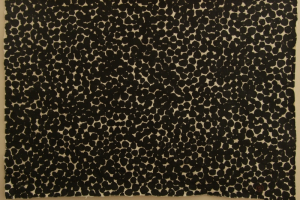 Painting with Earth: North Devon 2008-10