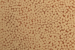 white-on-yellow-ochre (earth pigments on canvas; 30x30cm) 2008