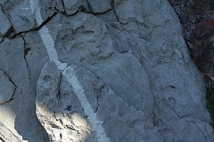 greencliff intervention, 8 week return  3 (earth pigments; digital photo) © p ward 2010