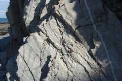 greencliff intervention, 8 week return  4 (earth pigments; digital photo) © p ward 2010