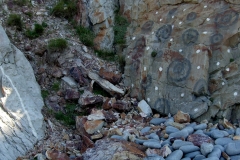 greencliff intervention, 8 week return  5 (earth pigments; digital photo) © p ward 2010