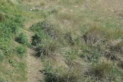 kicked-and-dragged-line-northam-burrows-digital-photo-2010