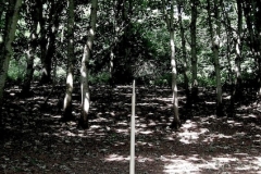line 1, nettlecombe, west somerset  (digital photo) © p ward 2010