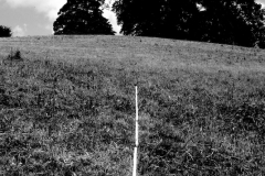 line 3, nettlecombe, west somerset  (digital photo) © p ward 2010
