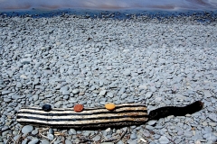 painted log, westward ho! 5 (earth pigments on driftwood; digital photo) © p ward 2010