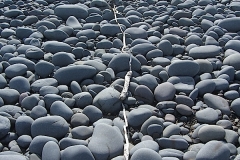 stick-line-westward-ho-digital-photo-2010